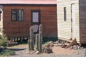 "Ocho Águilas Eco Lodge": Foto de la Cabaña VIP con un grupo de cactus en frente