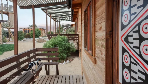 Ocho Águilas Eco Lodge: Cabañas con diseño diaguita en puerta. Terraza techada. La gata "Betty" está jugando en la terraza.